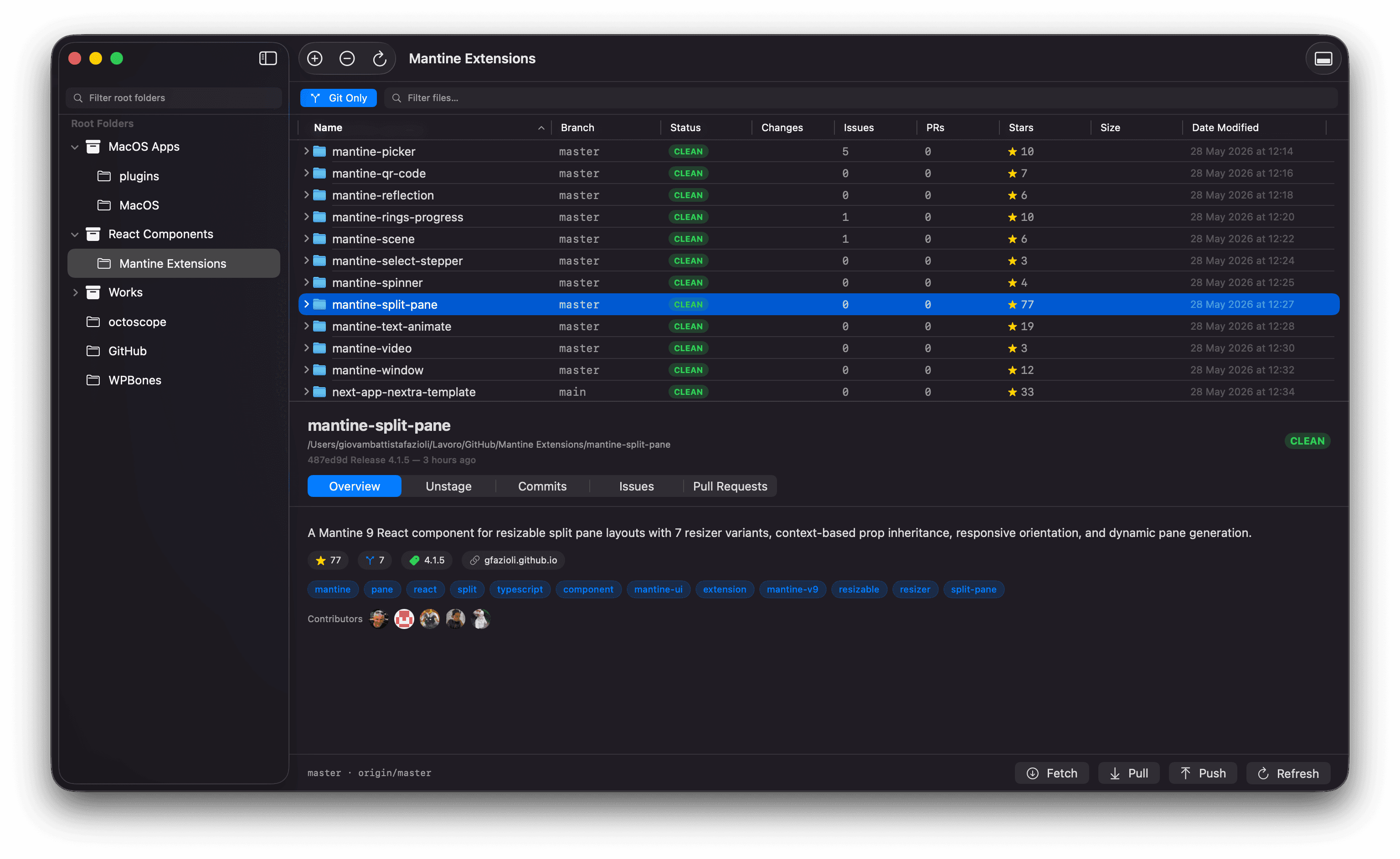 Detail panel showing the Overview tab — description, stars, topics, contributors, with Fetch/Pull/Push/Refresh docked at the bottom